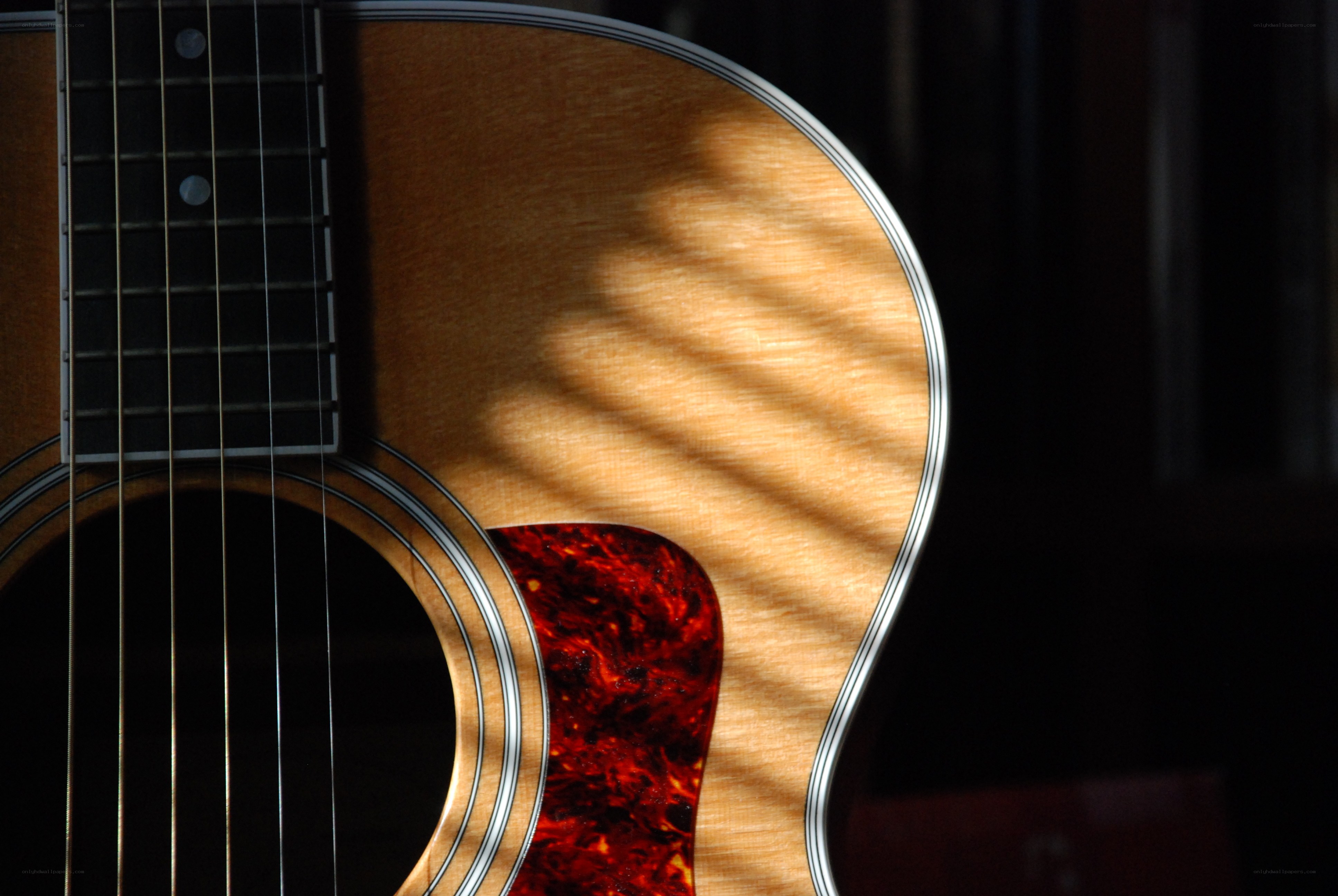 Acoustic guitar in sunlight
