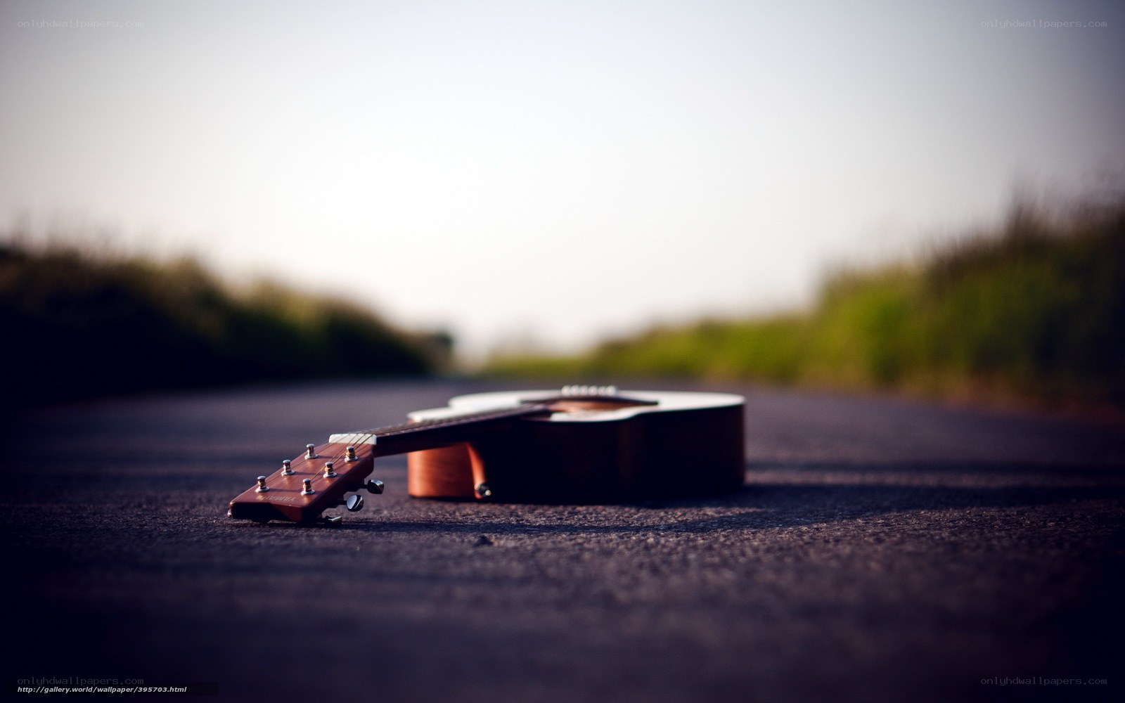 Acoustic guitar on a road