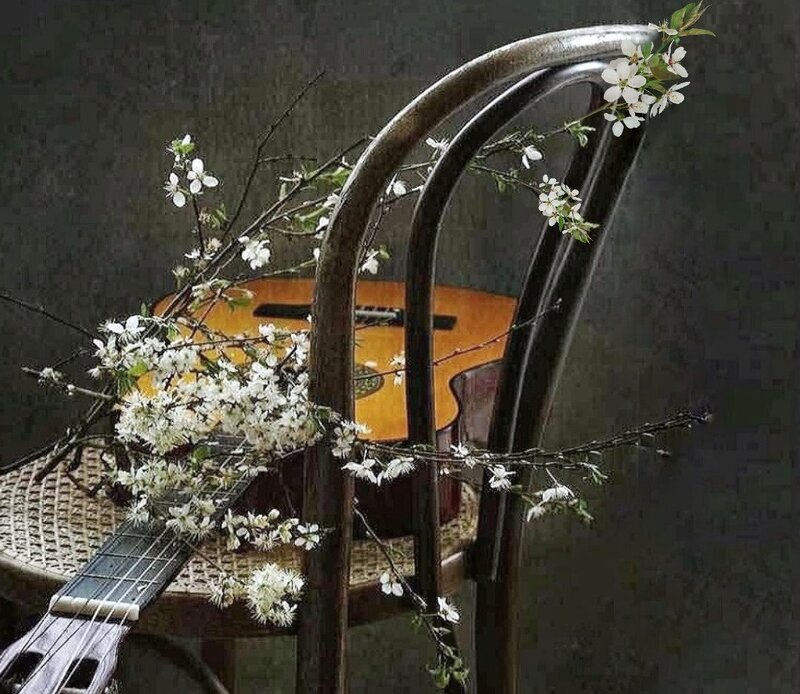 Acoustic Guitar on Chair