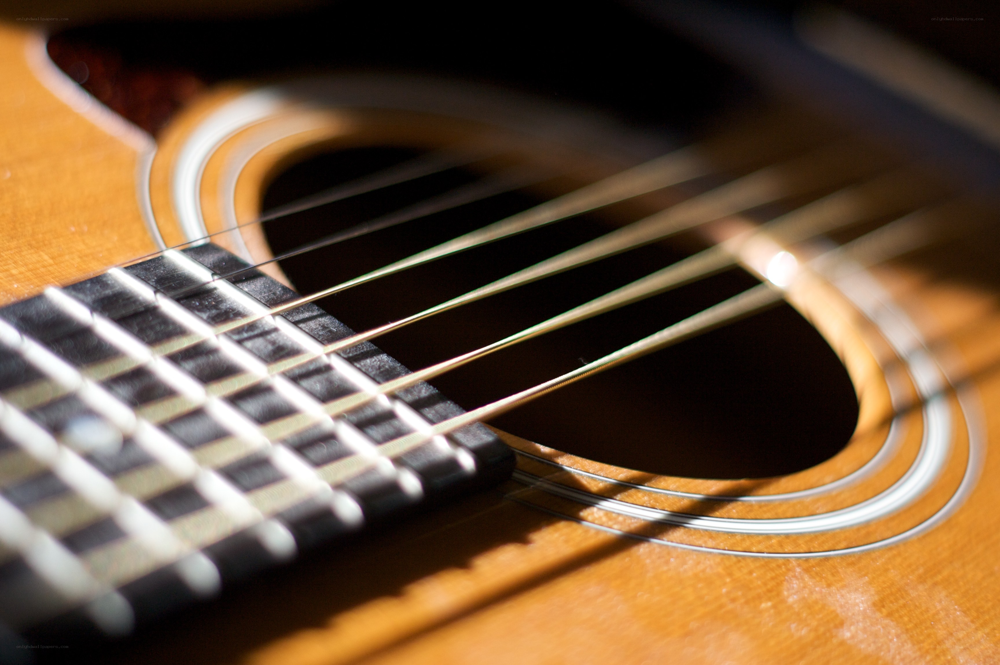 Acoustic guitar strings close-up