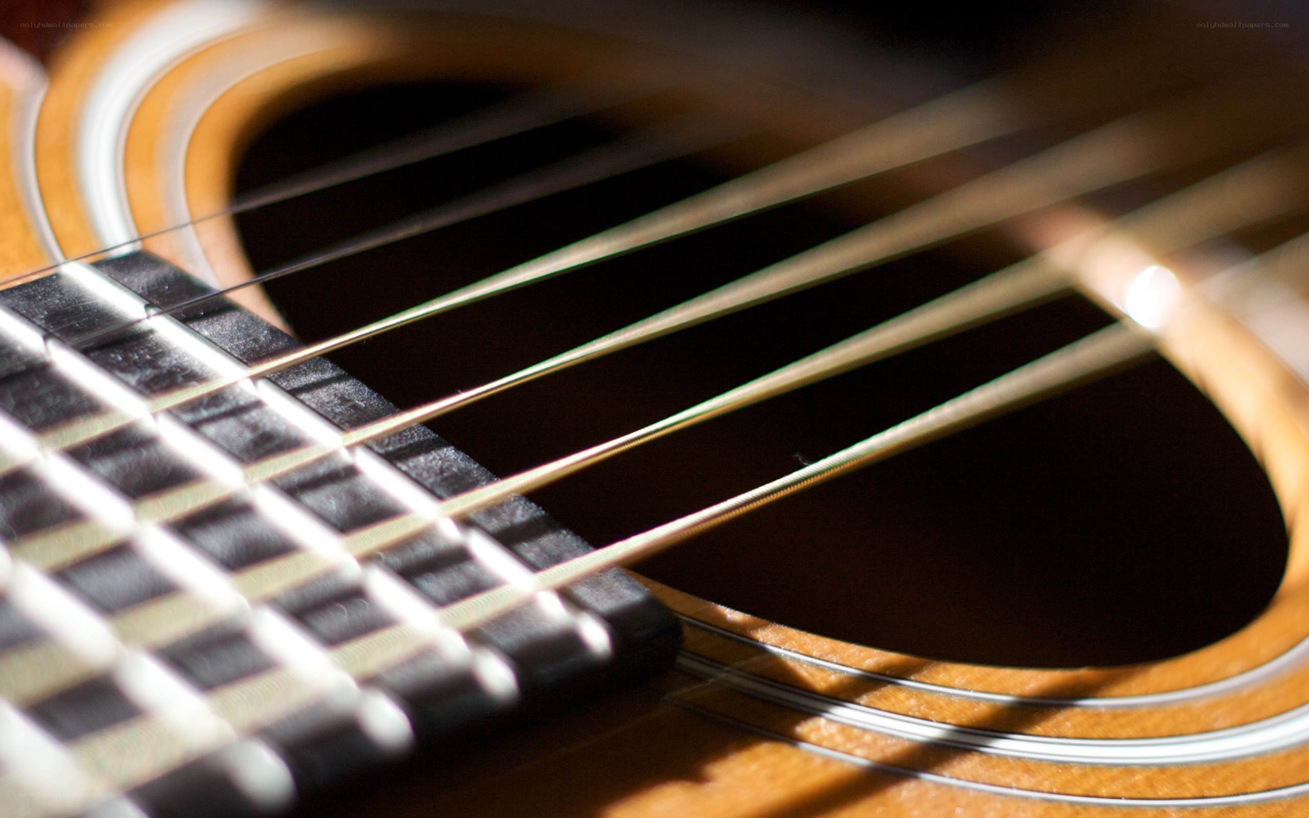 Acoustic guitar strings close-up