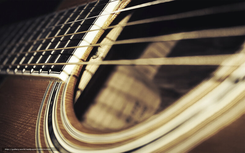 Acoustic guitar strings close-up