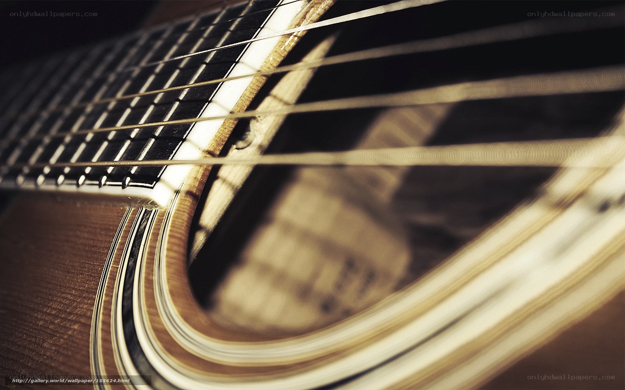 Acoustic guitar strings close-up