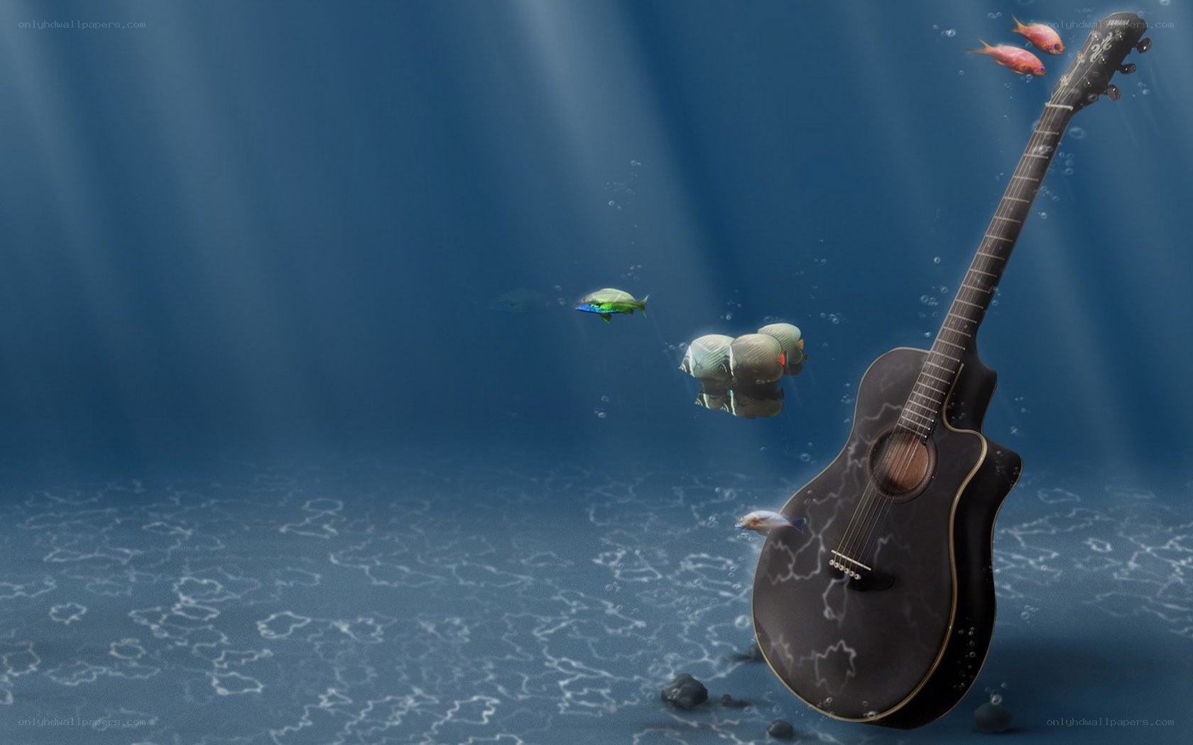 Acoustic guitar underwater