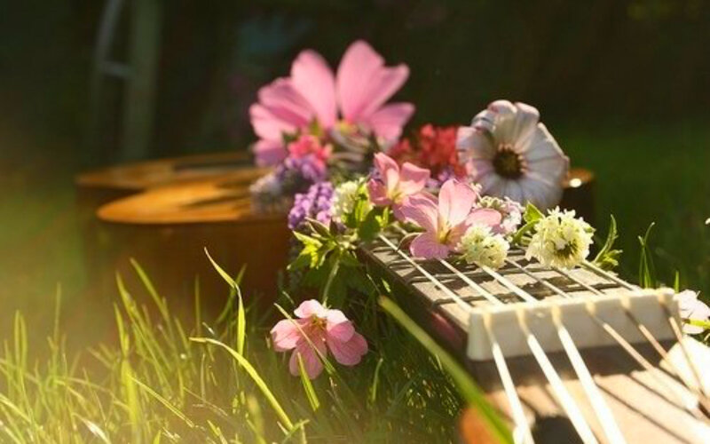 Acoustic Guitar with Flowers — Green