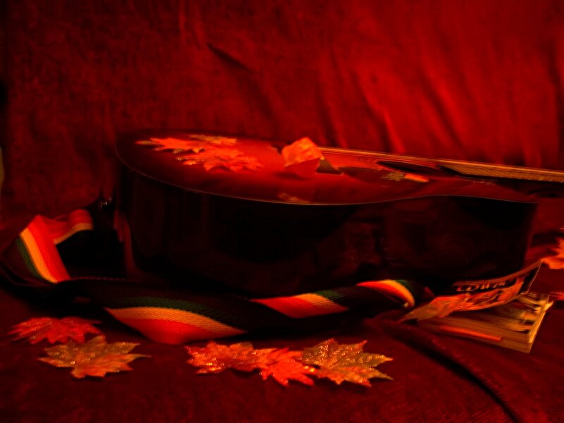 Acoustic Guitar with Leaves — Red