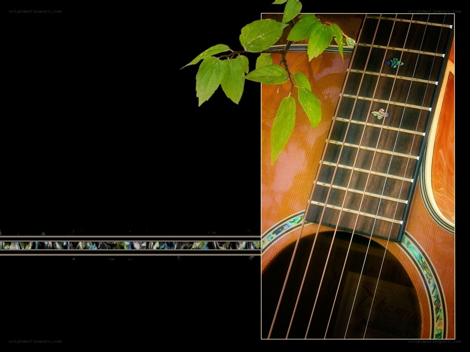 Acoustic guitar with leaves