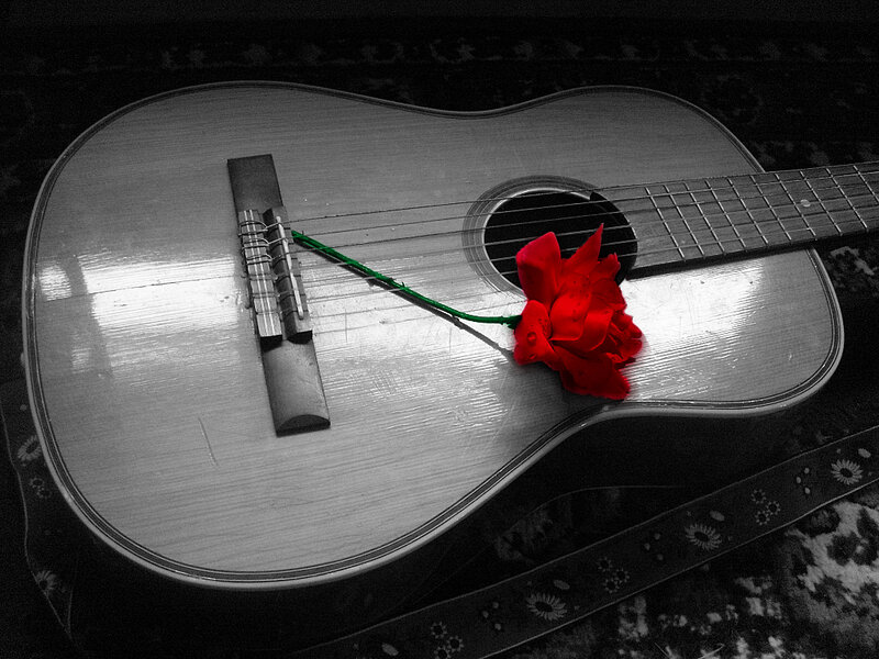 Acoustic Guitar with Rose