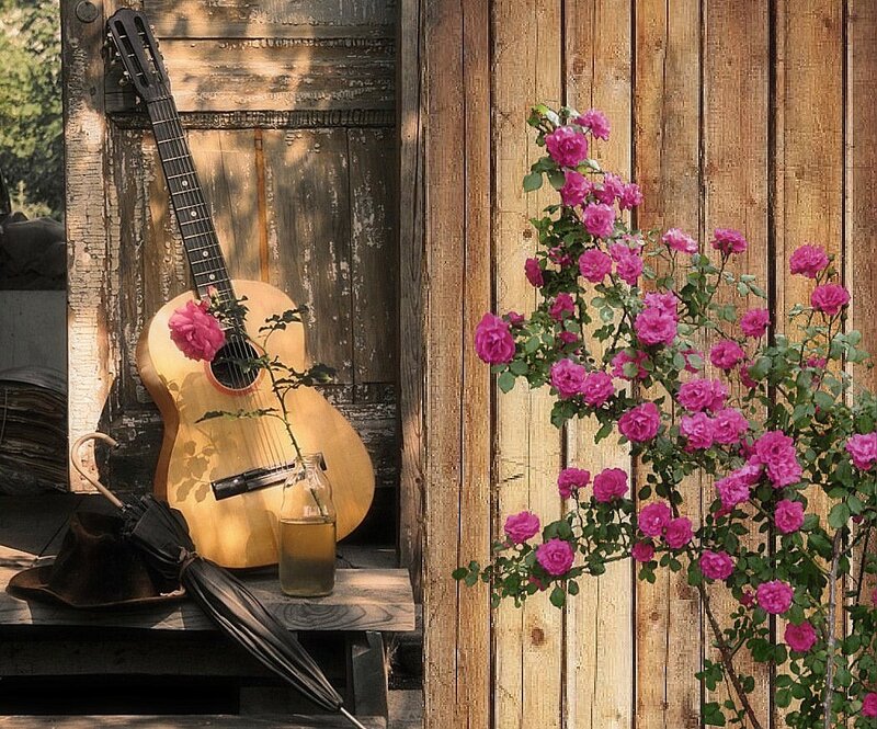 Acoustic Guitar with Roses — Brown