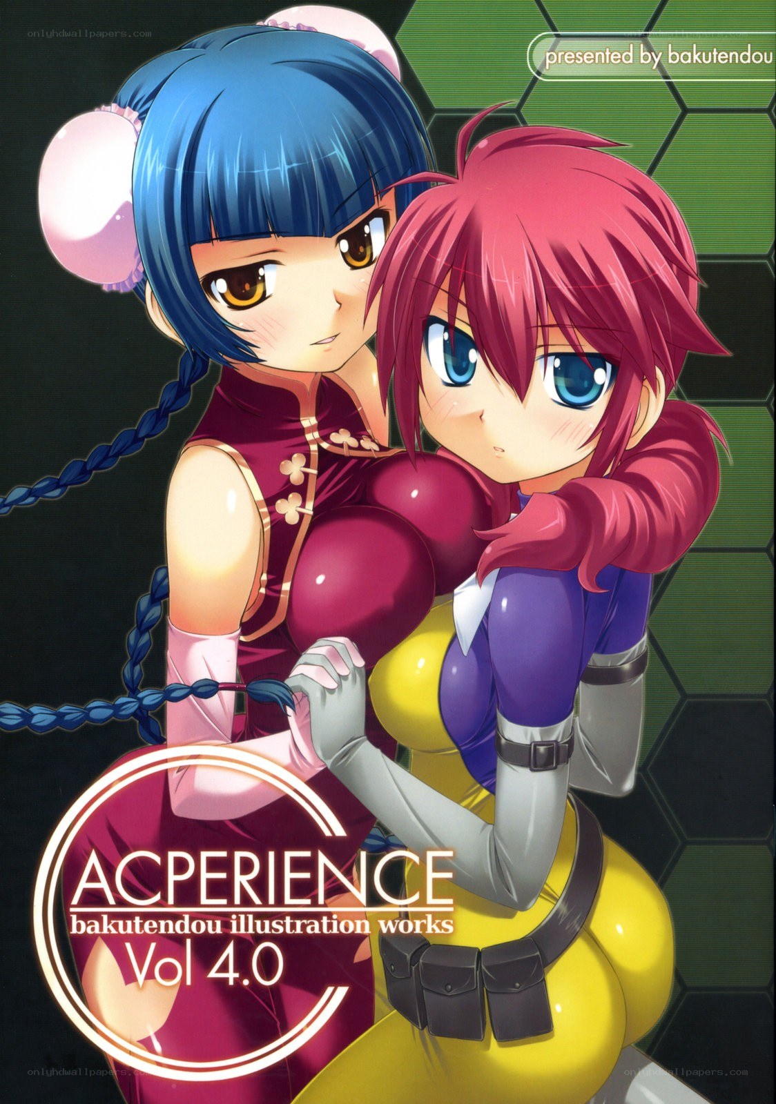 Acperience Vol. 4.0 illustration