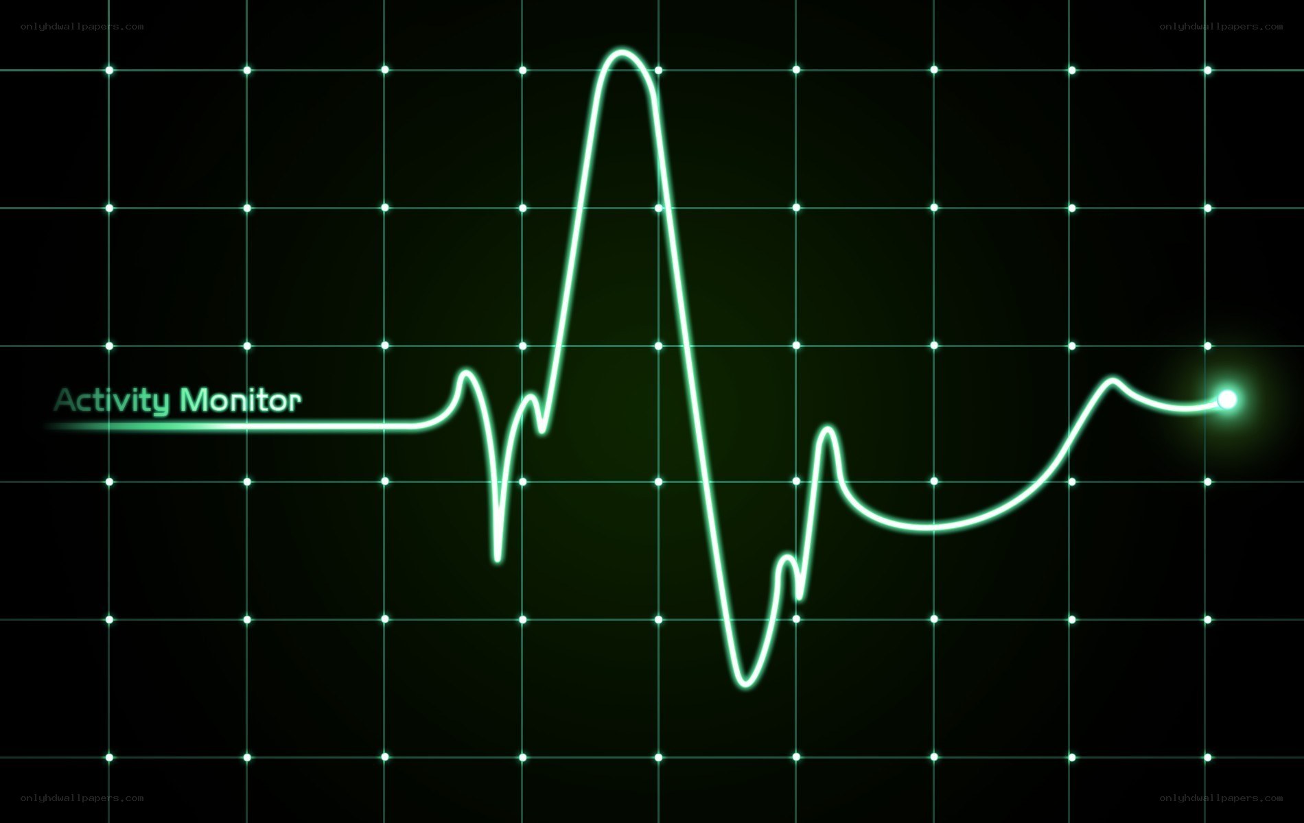 Activity Monitor Graph
