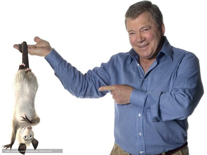 Actor with animated opossum
