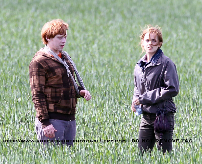 actors in a field