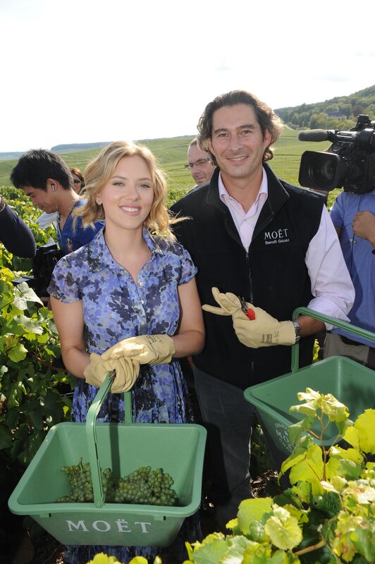 Actress at grape harvest