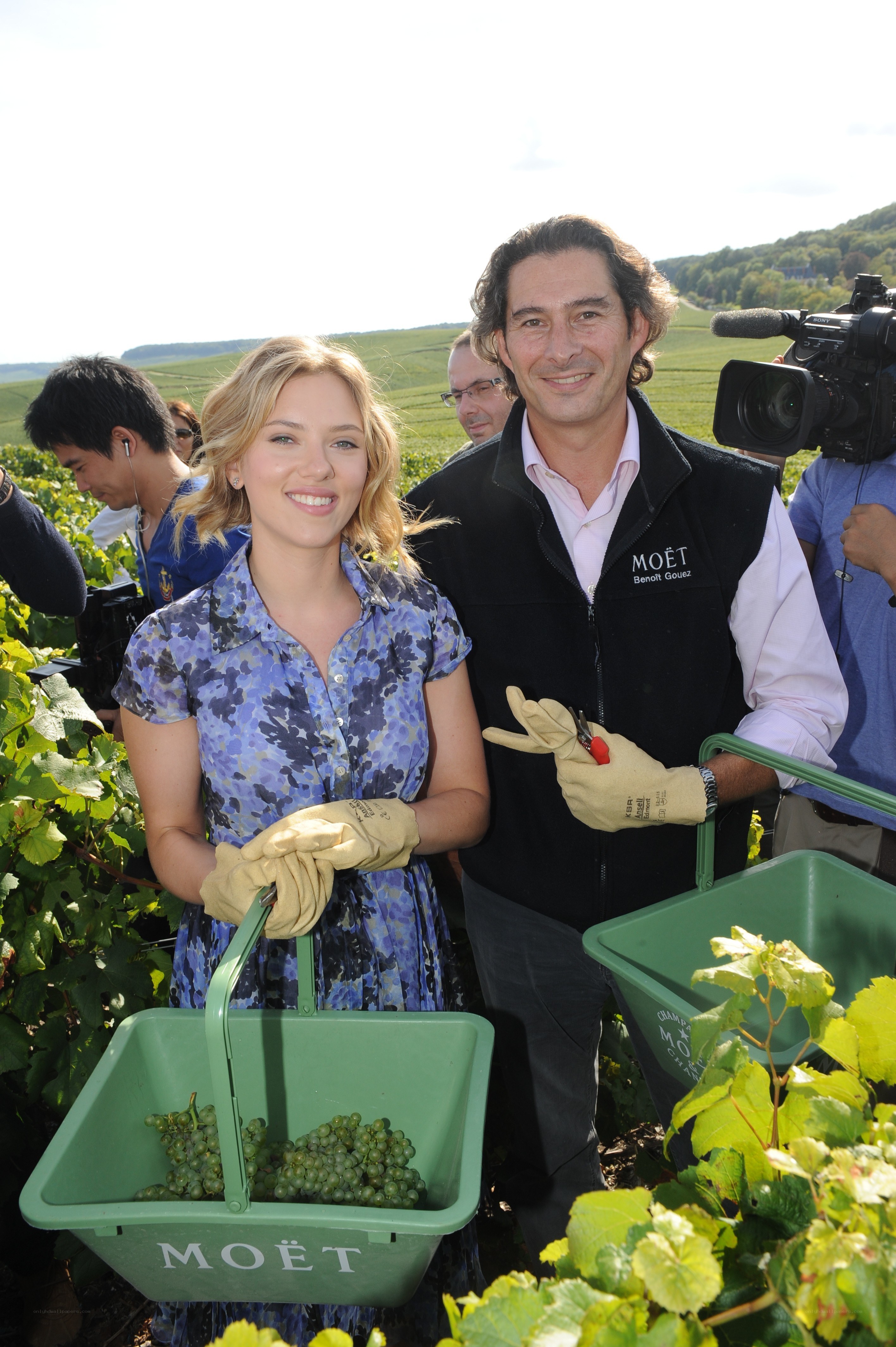 Actress at grape harvest