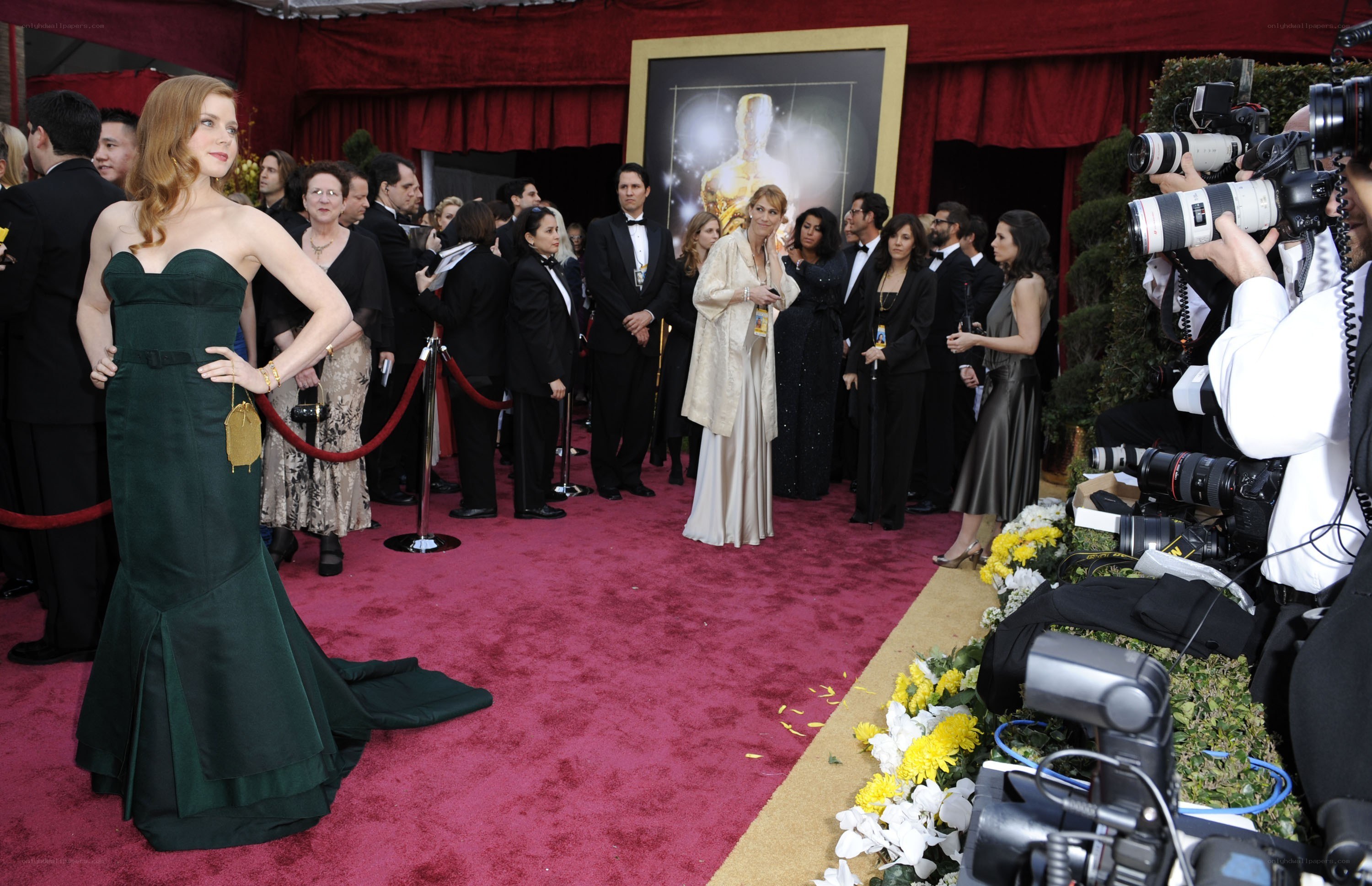 Actress on red carpet at awards