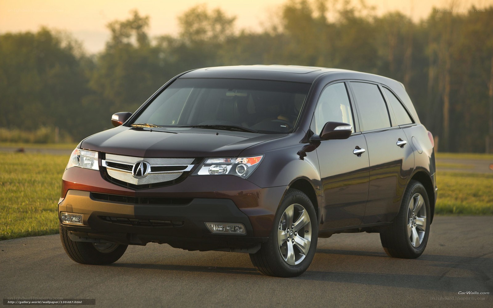 Acura MDX on a road