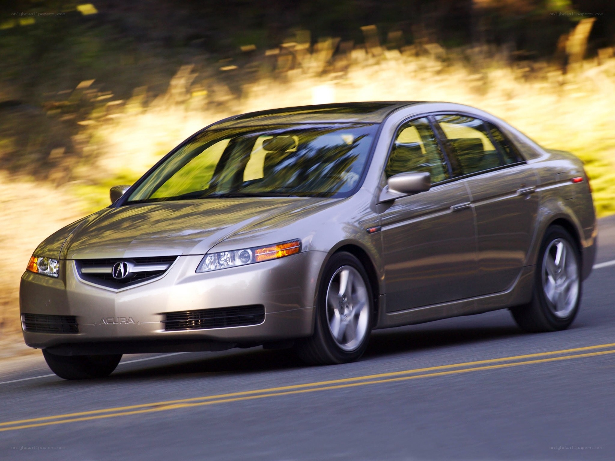 Acura TL in motion
