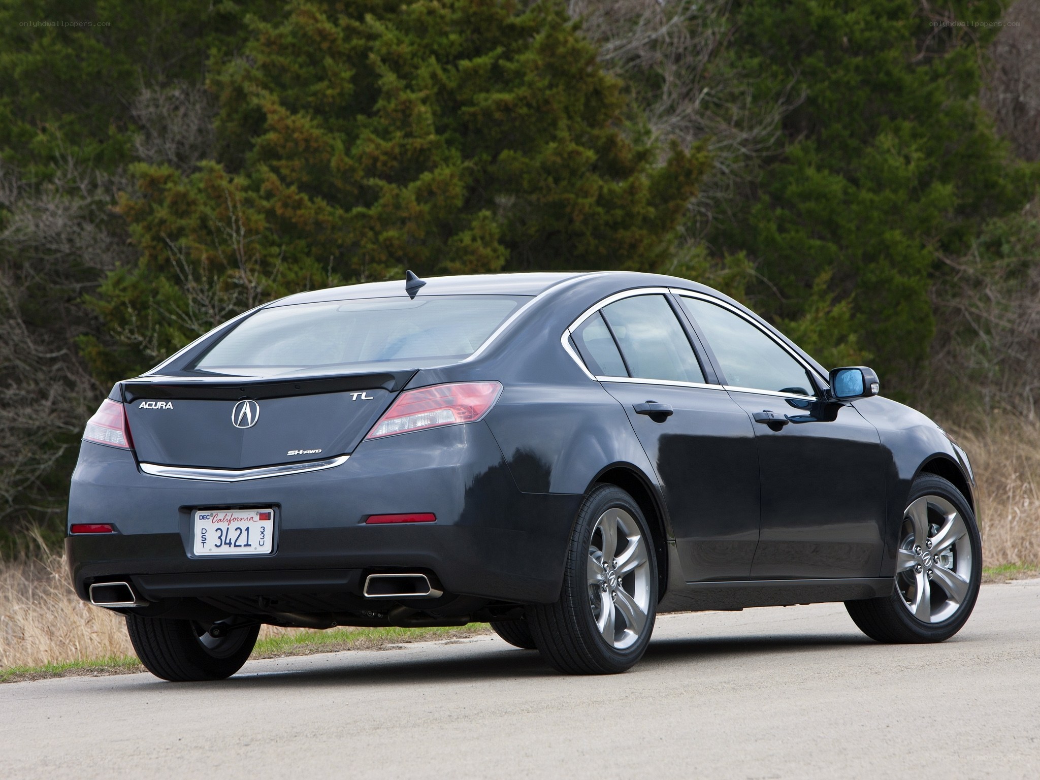 Acura TL sedan on road