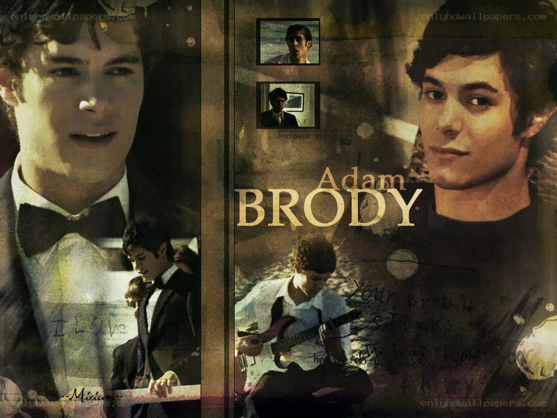 Adam Brody collage