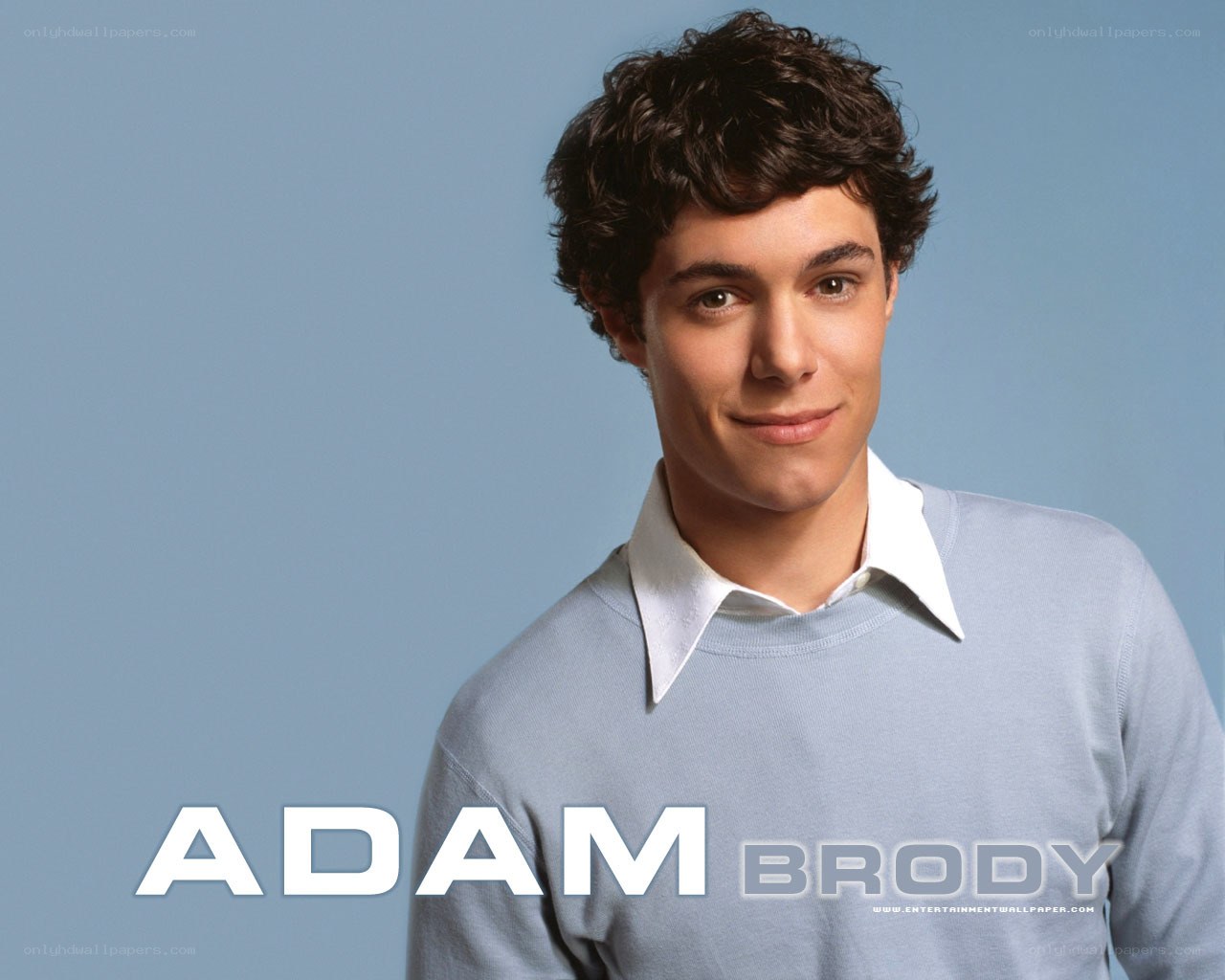 Adam Brody portrait
