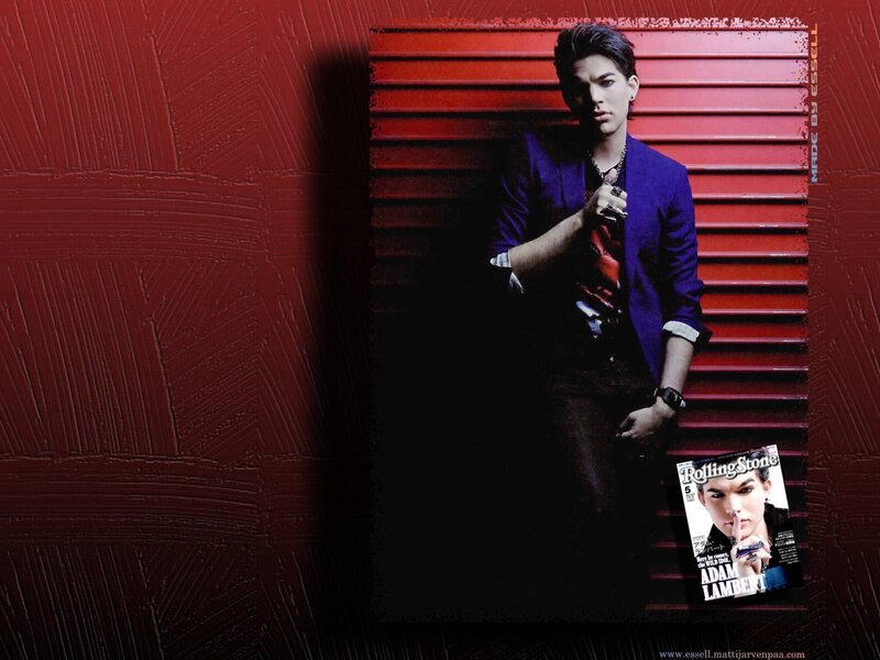 Adam Lambert on red background
