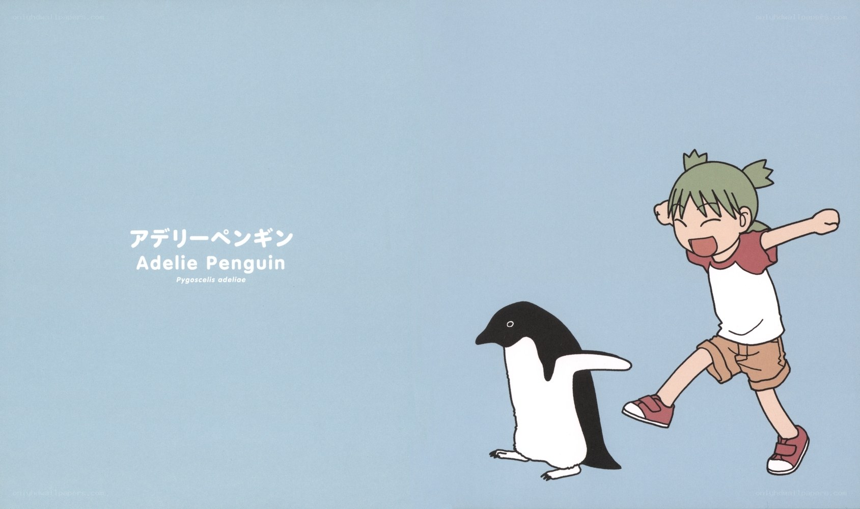 Adelie Penguin and Child