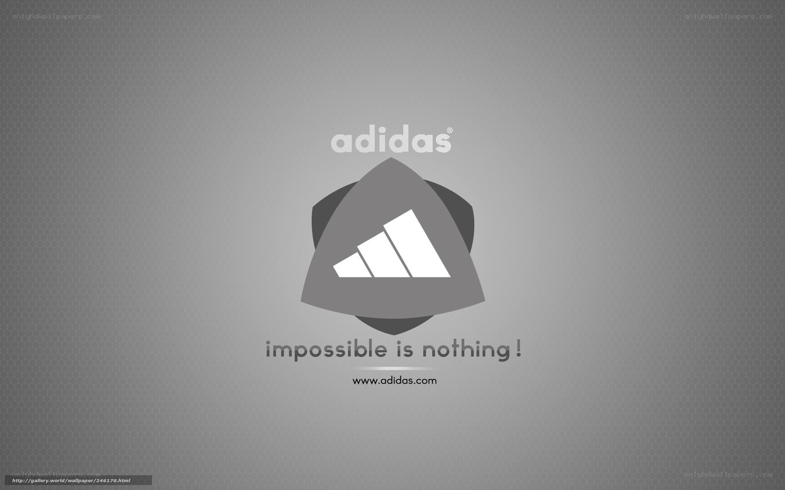 Adidas brand wallpaper
