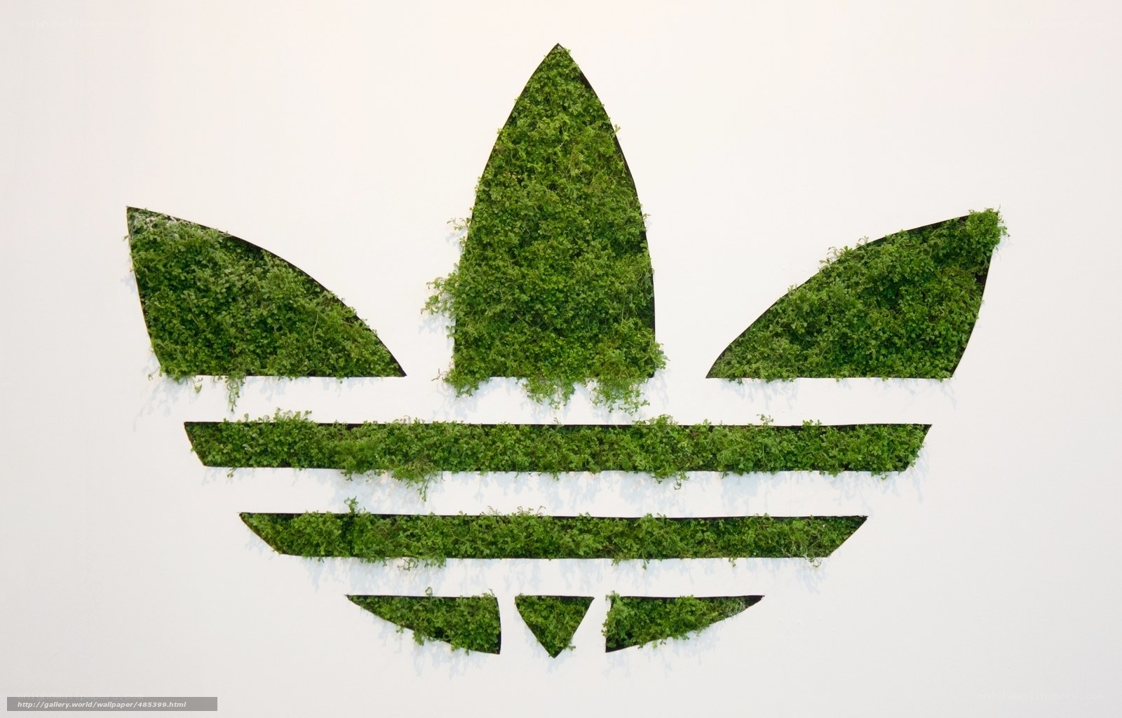 Adidas logo made of moss