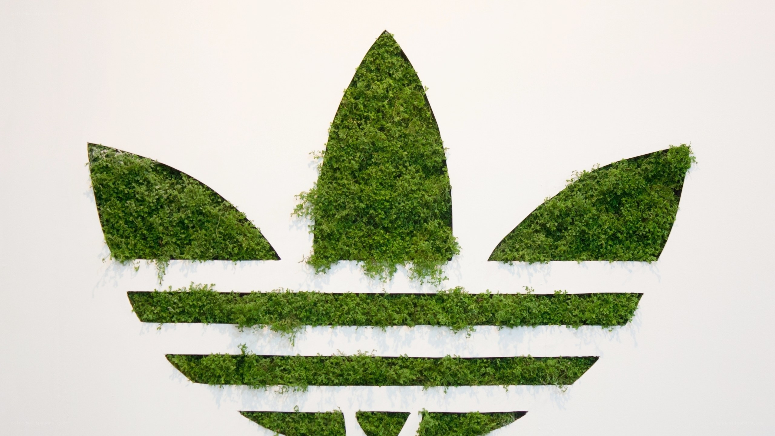 Adidas logo made of moss