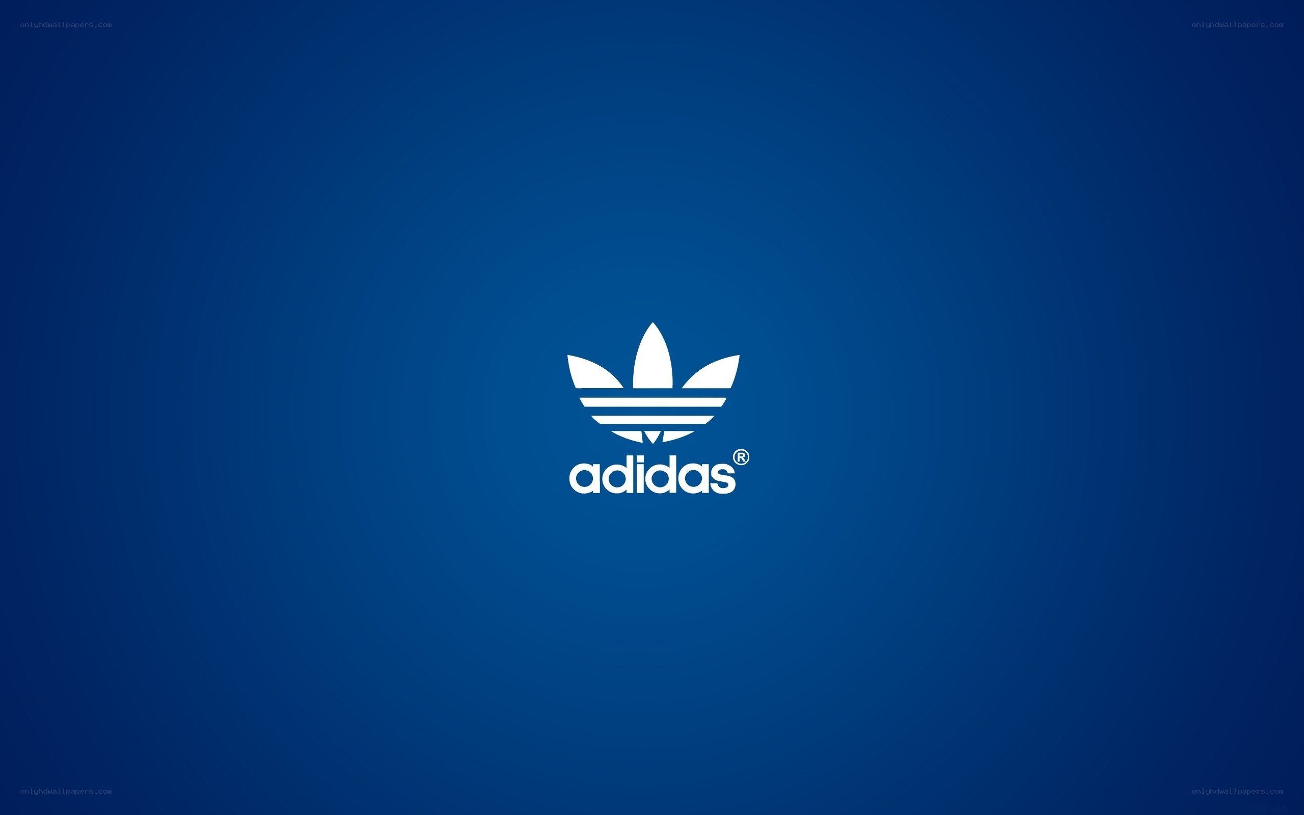 Adidas logo on blue background