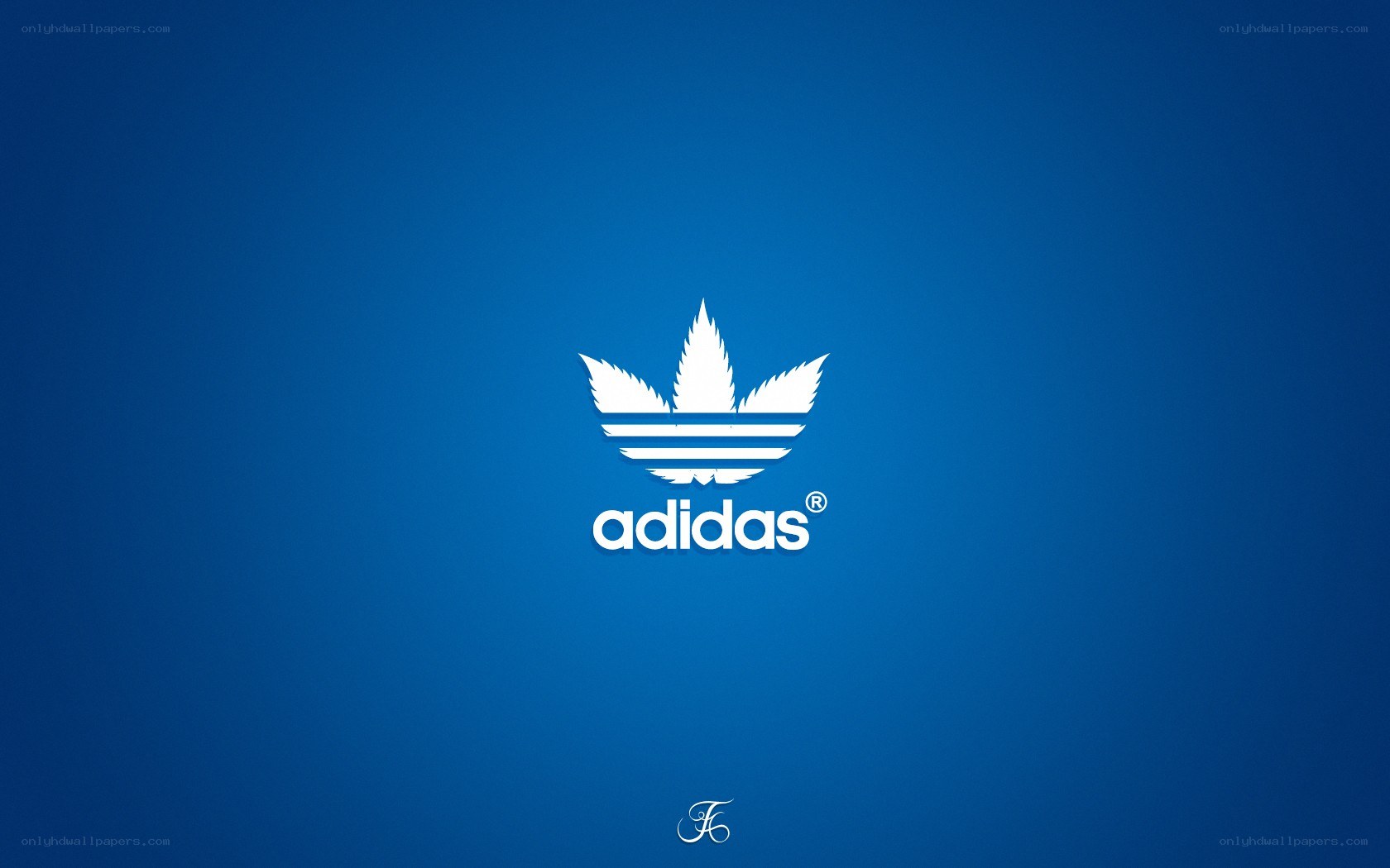 Adidas logo on blue background