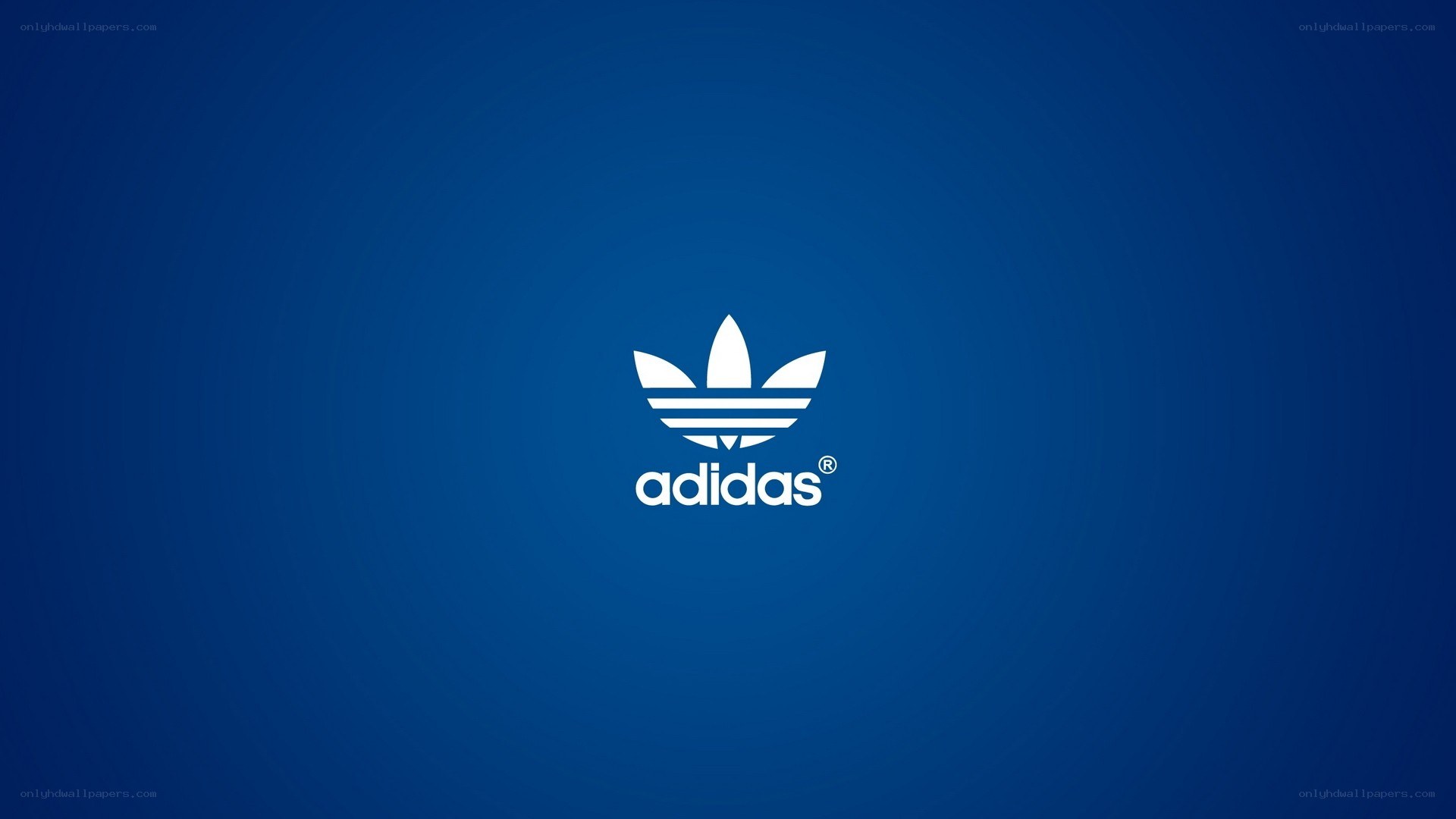 Adidas logo on blue background