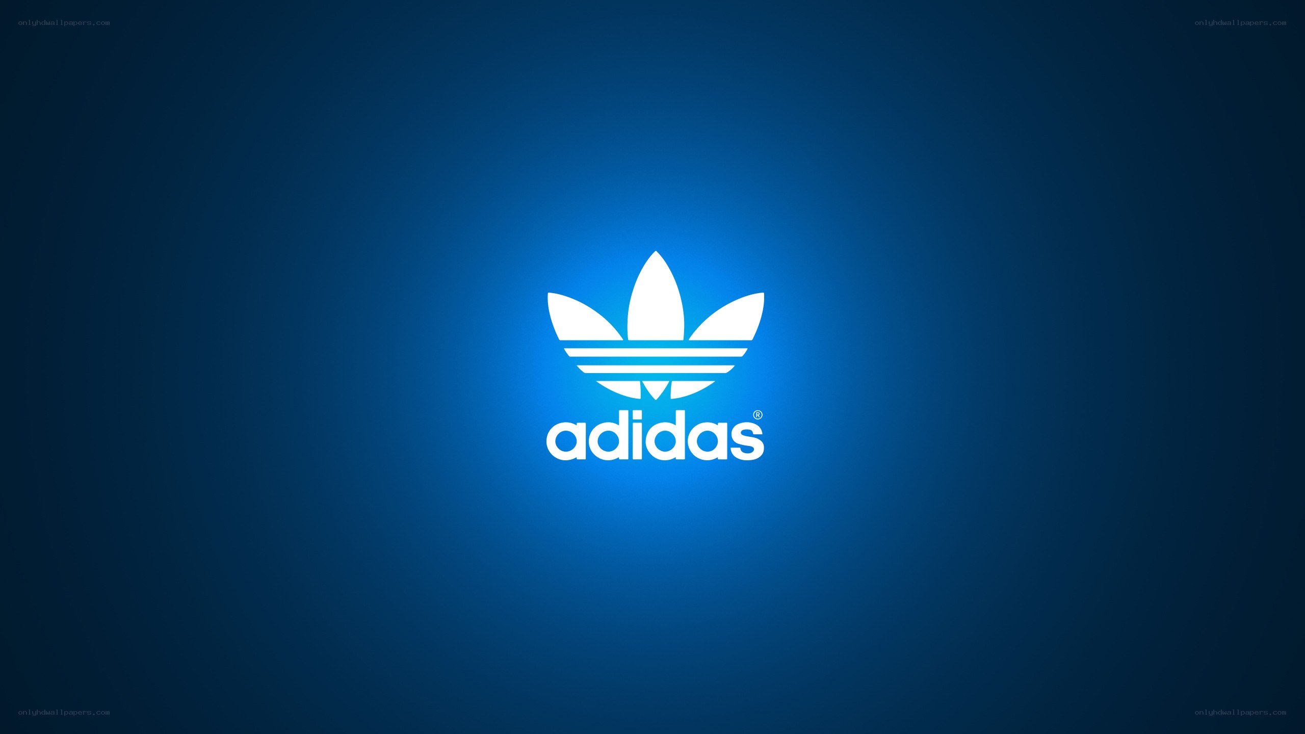 Adidas logo on blue background