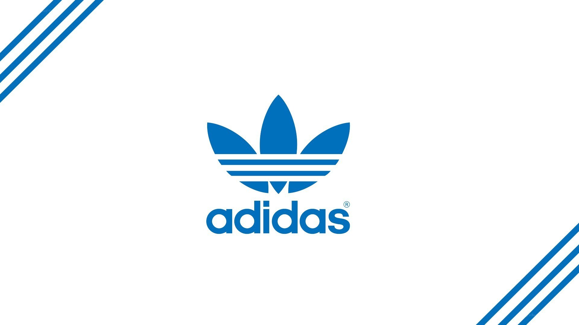 Adidas logo on white background