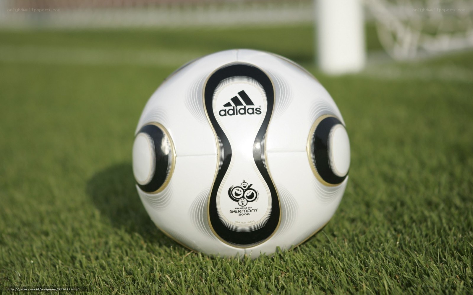 Adidas soccer ball on grass
