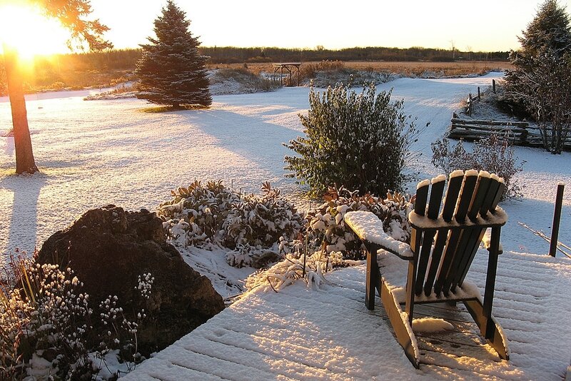 Adirondack Chair in Snow