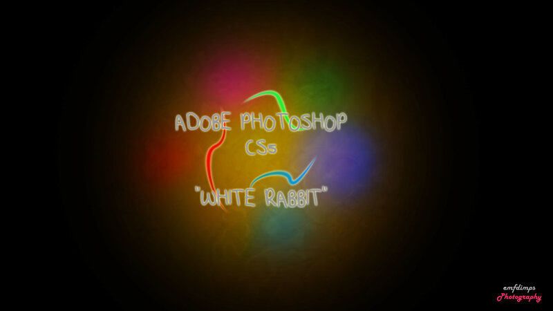 Adobe Photoshop CS5 Logo — Black