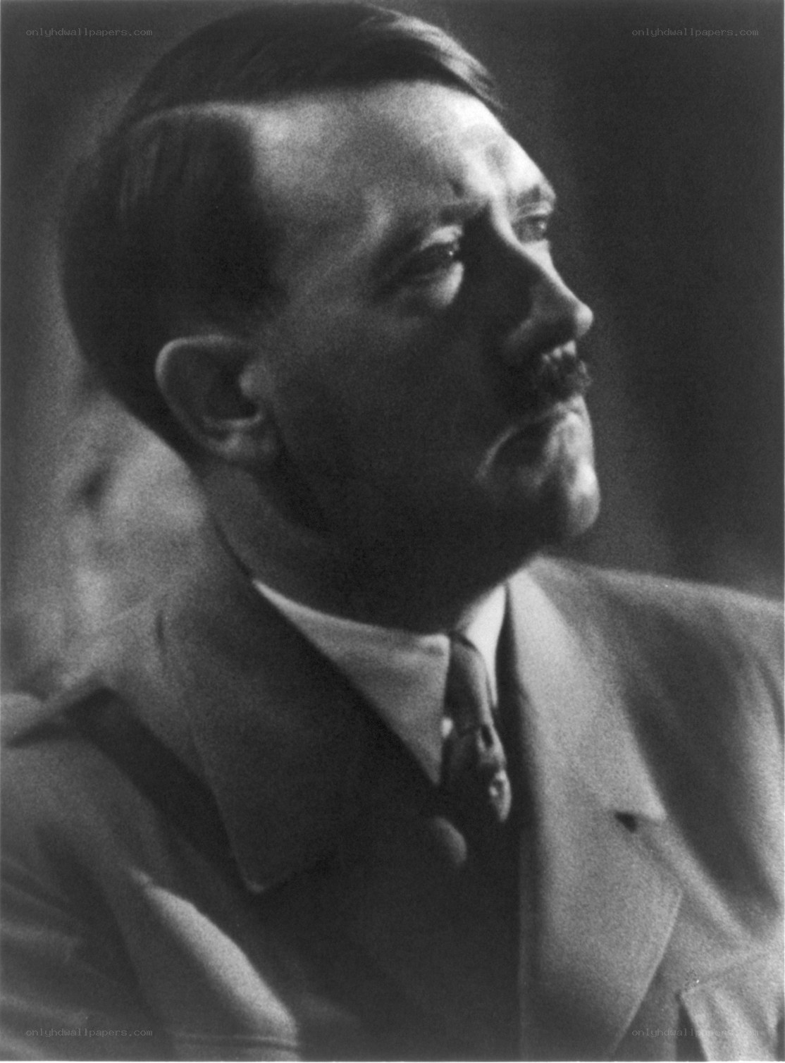 Adolf Hitler portrait