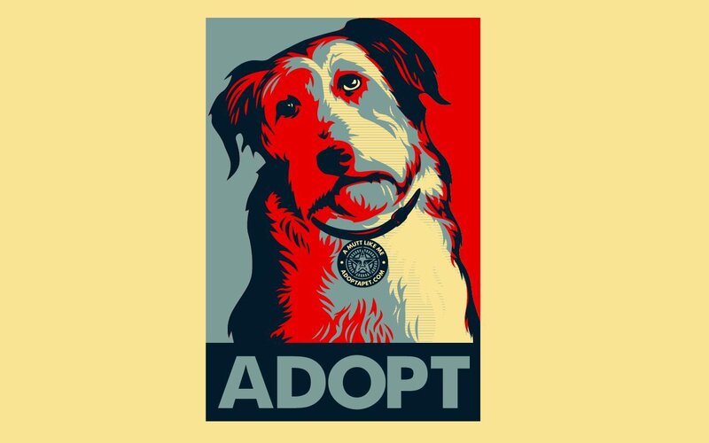 Adopt a mutt poster