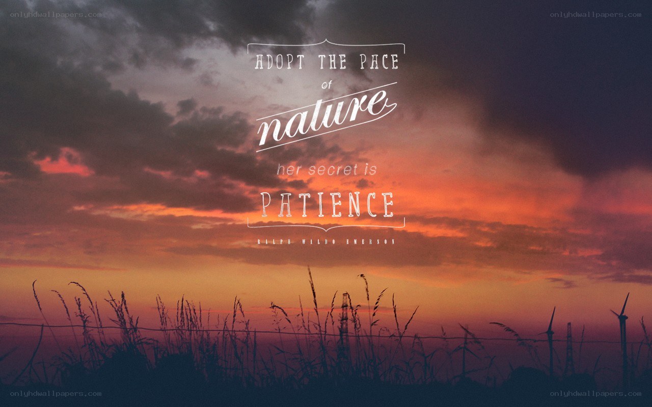 Adopt the pace of nature
