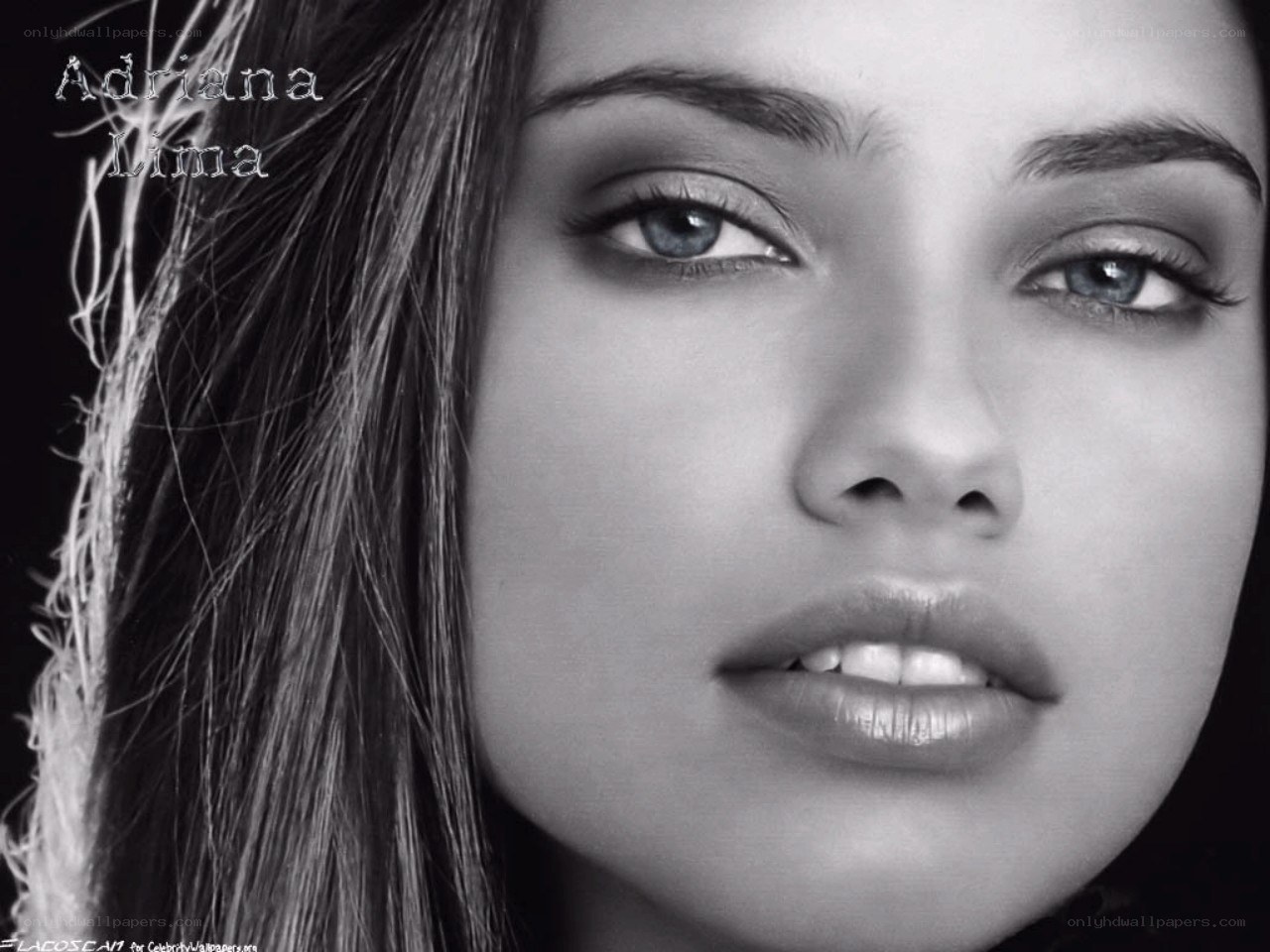 Adriana Lima portrait