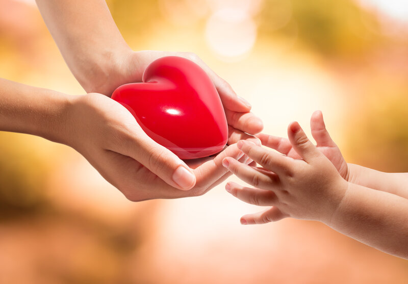 Adult and Child Hands — Red