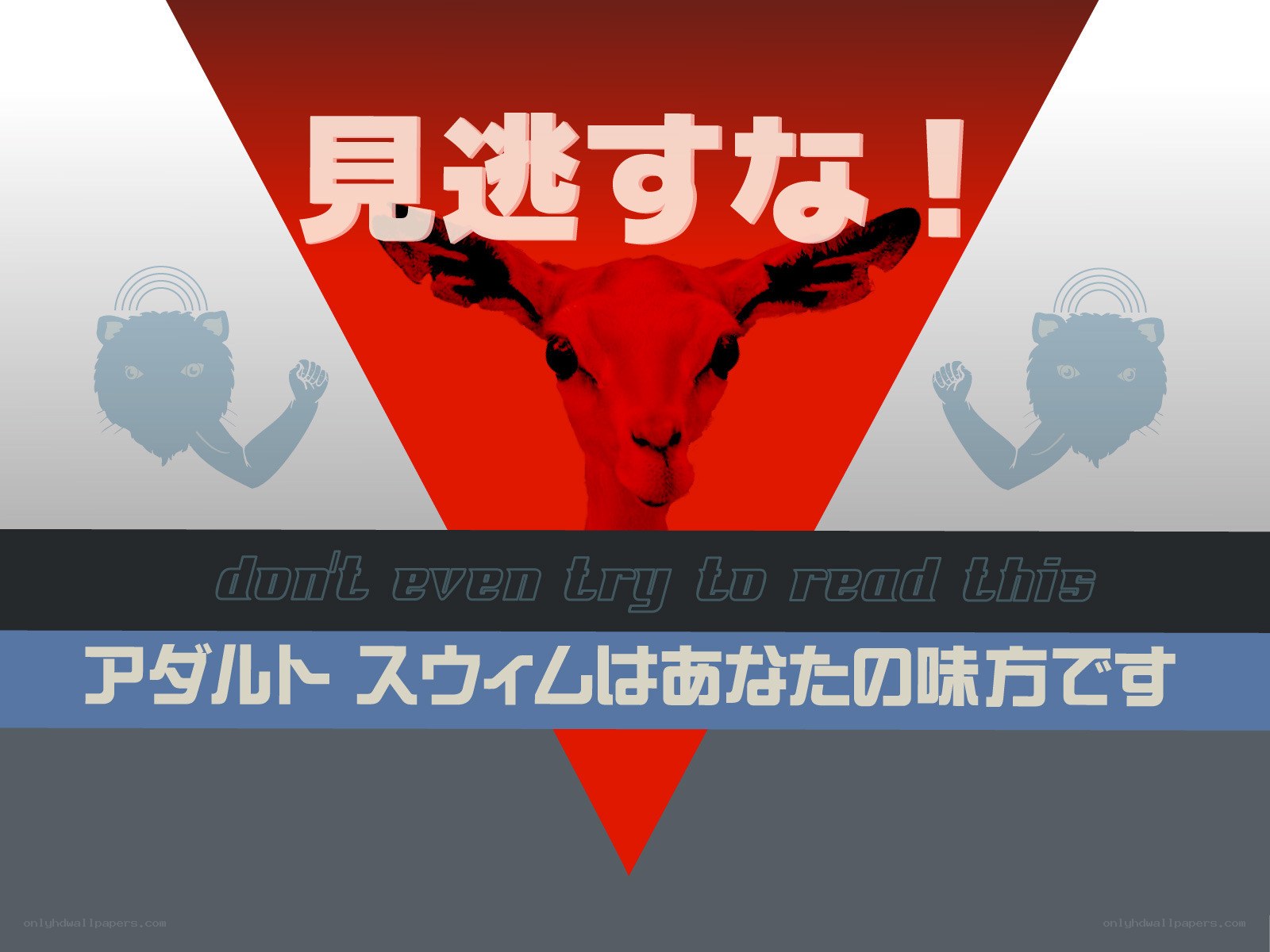 Adult Swim logo with warning
