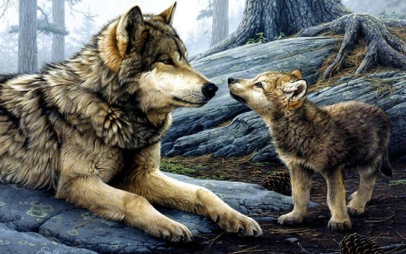 Adult Wolf and Pup — Brown, Serene