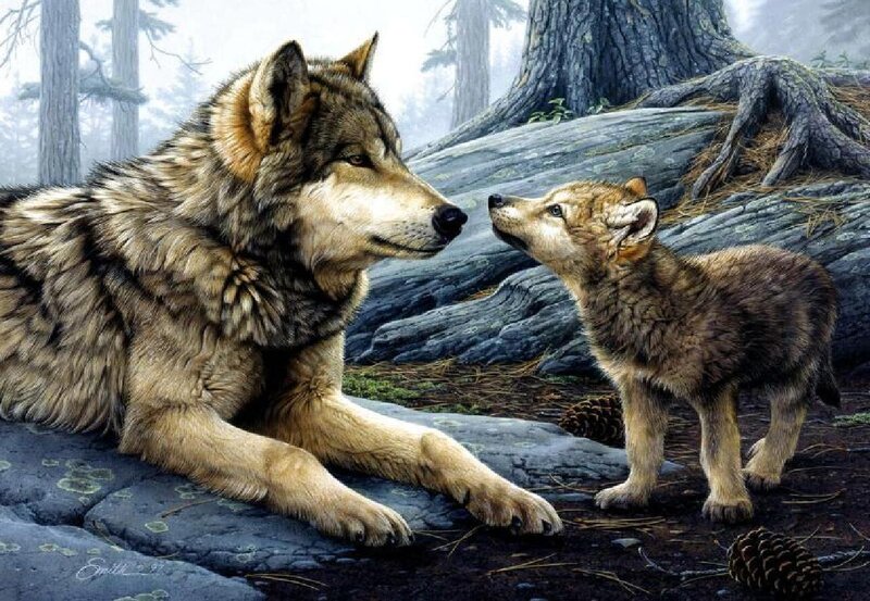 Adult Wolf and Pup — Brown