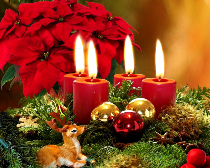 Advent Candles and Poinsettia — Red, Festive