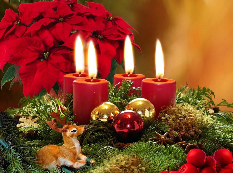 Advent Candles and Poinsettia — Red