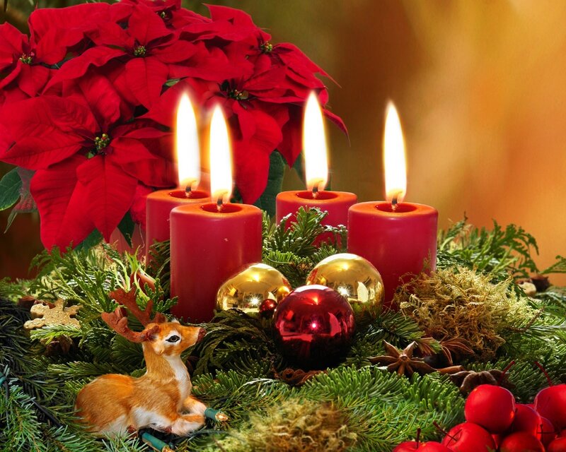 Advent Candles and Poinsettia