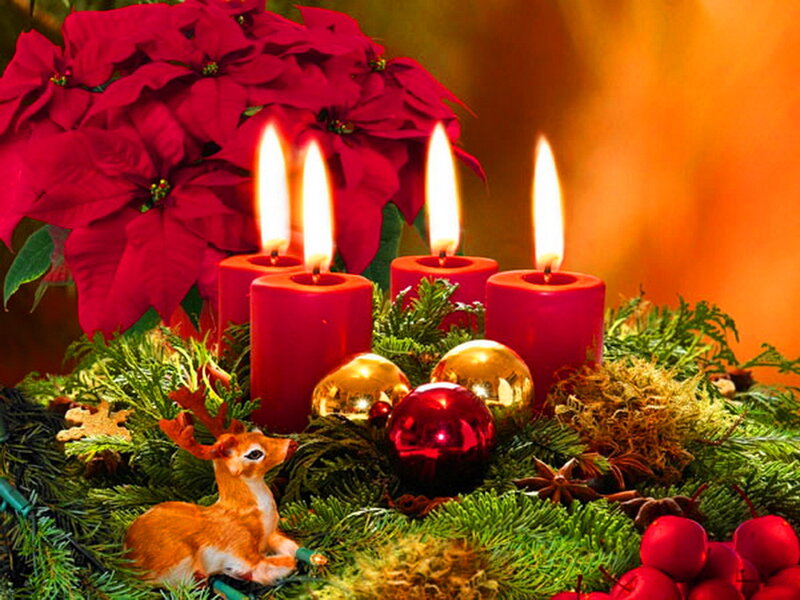 Advent Candles with Poinsettia — Red